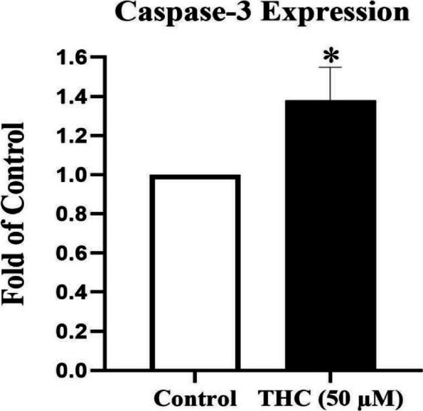 PMC10636832 – Fig2