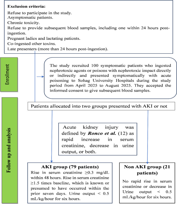 PMC12076890 – Fig1