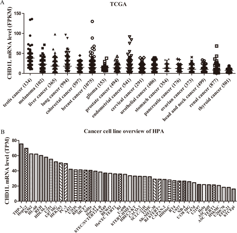 PMC7934534 – Fig4
