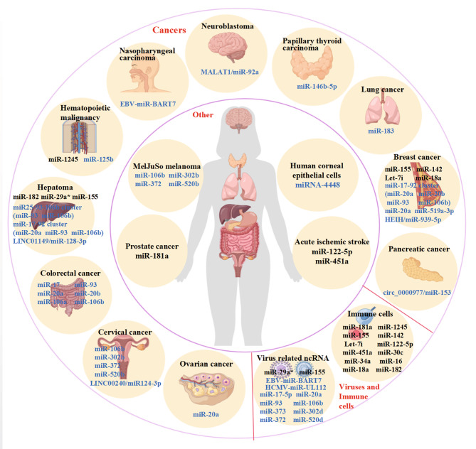 PMC10546648 – Fig2
