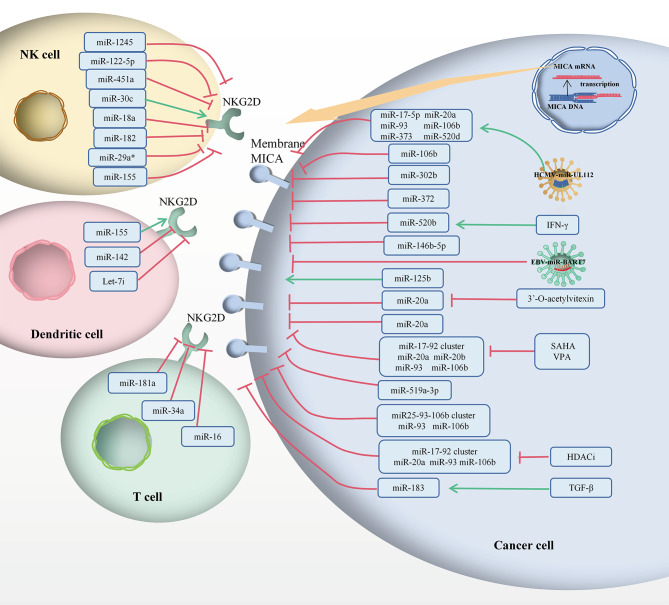 PMC10546648 – Fig4