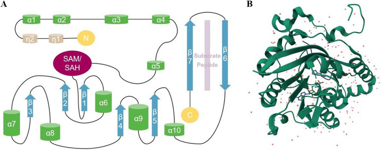 PMC11409517 – Fig1