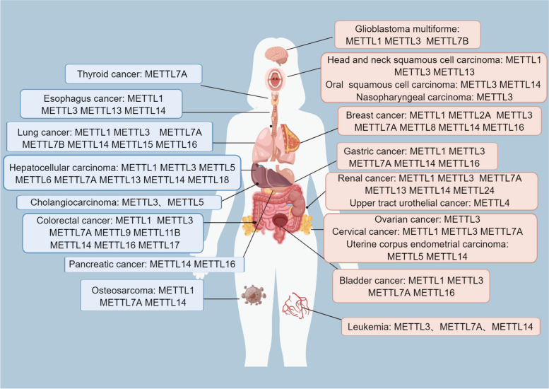 PMC11409517 – Fig2