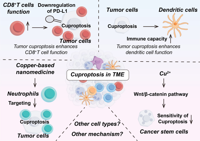 PMC11529036 – Fig5