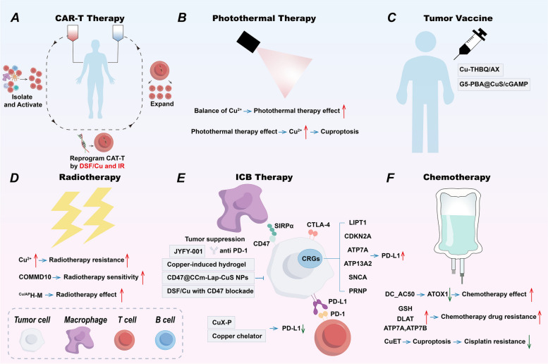 PMC11529036 – Fig6