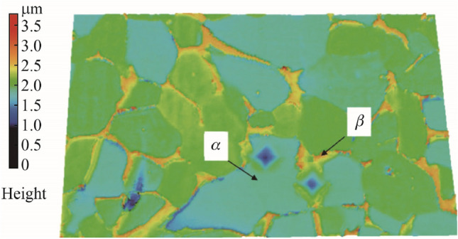 PMC8550556 – Fig11