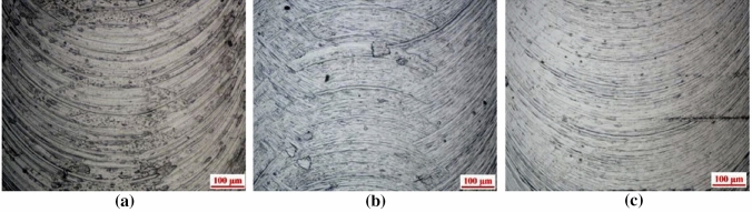 PMC8550556 – Fig13