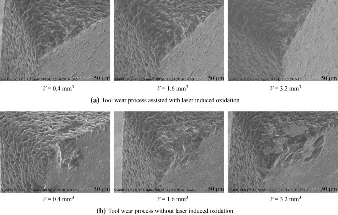 PMC8550556 – Fig14