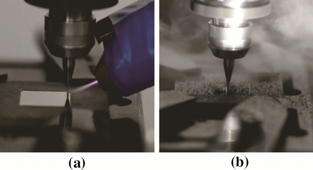PMC8550556 – Fig15