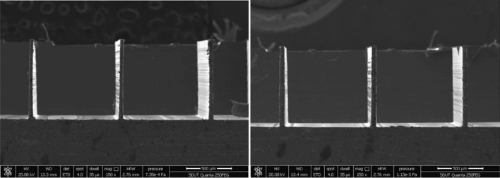 PMC8550556 – Fig16