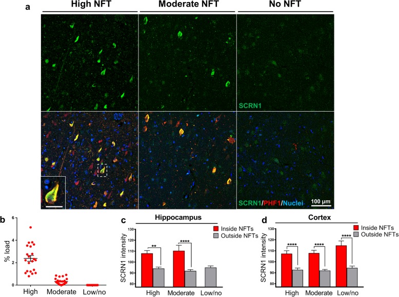 PMC6892024 – Fig3