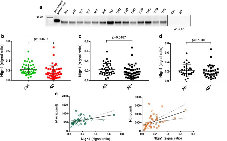 PMC7852195 – Fig5