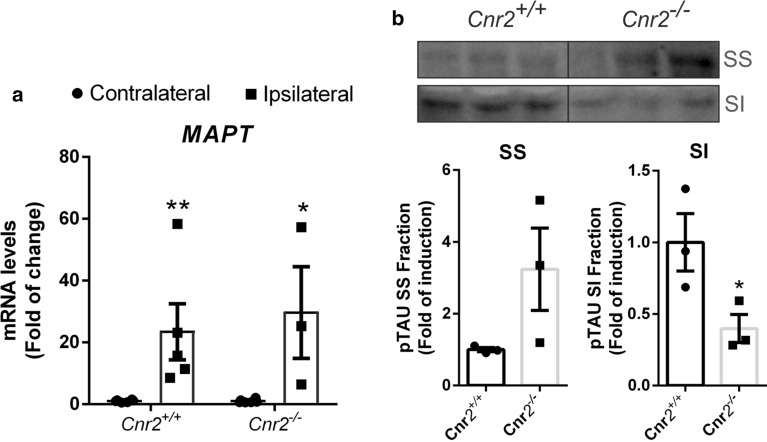 PMC8130522 – Fig5