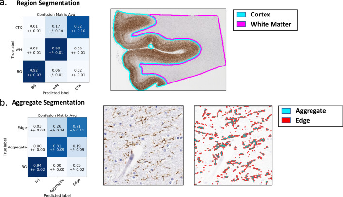 PMC8529809 – Fig2