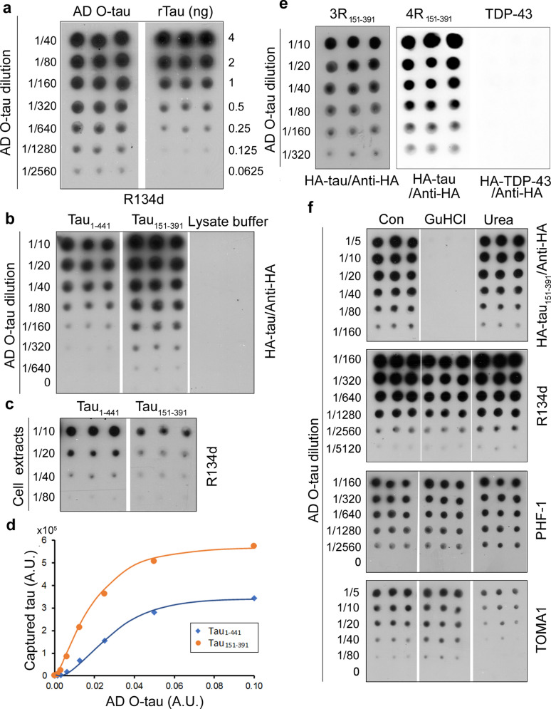 PMC9446852 – Fig1