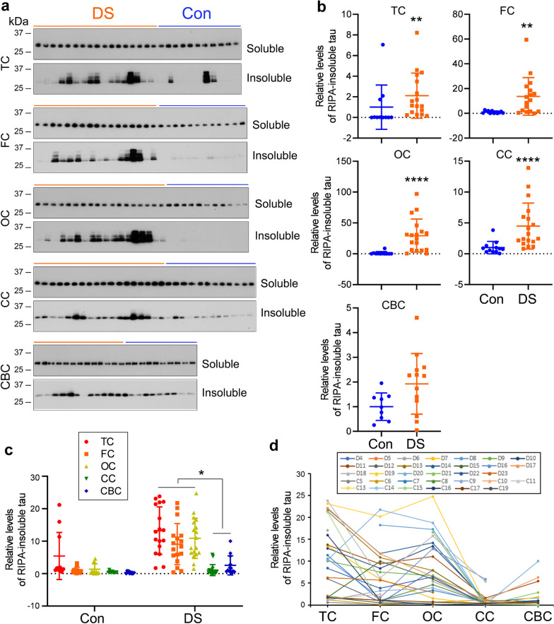 PMC9446852 – Fig6