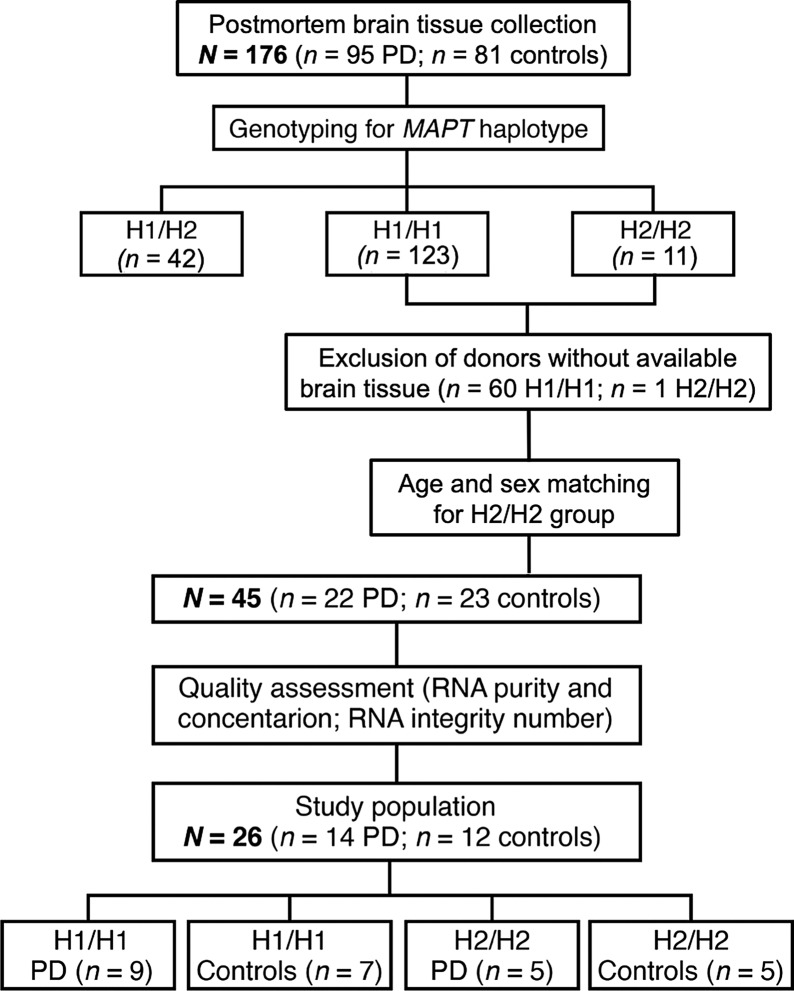 PMC10008602 – Fig1