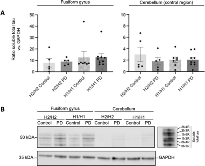 PMC10008602 – Fig3