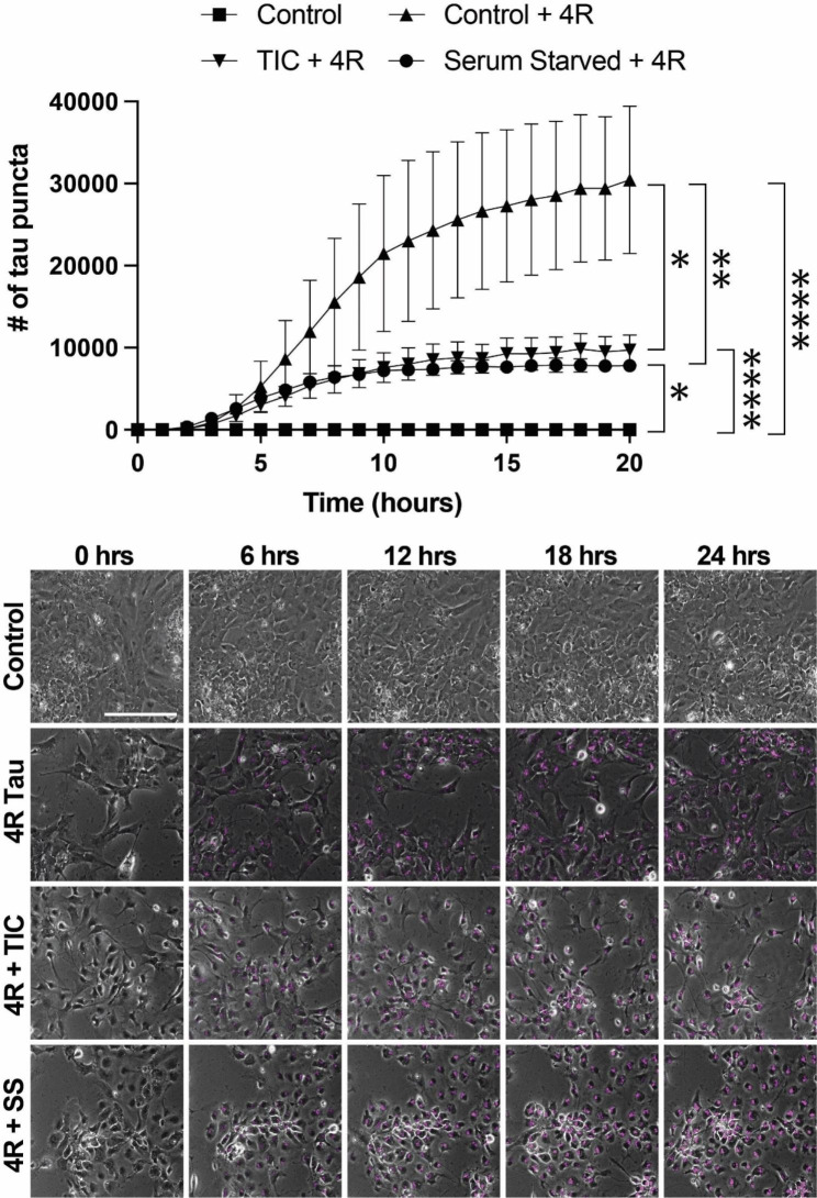 PMC10557325 – Fig6