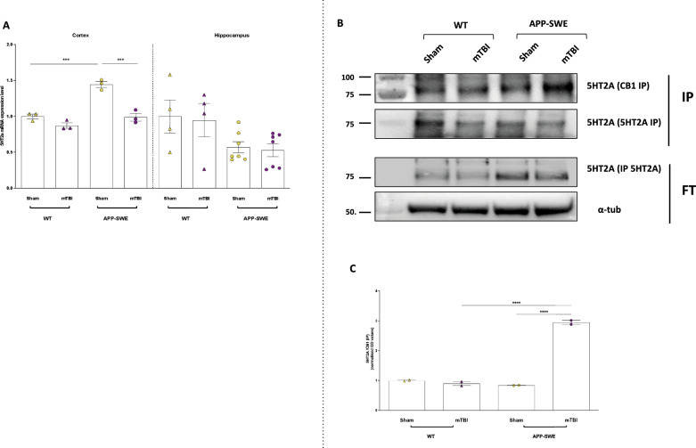 PMC11241935 – Fig10