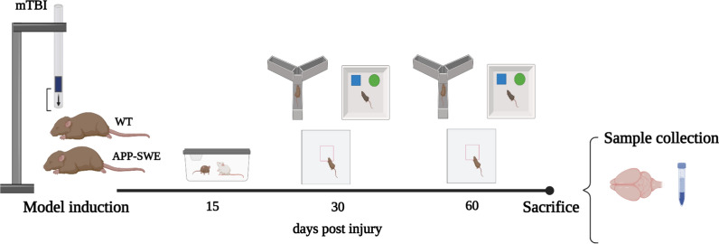 PMC11241935 – Fig1