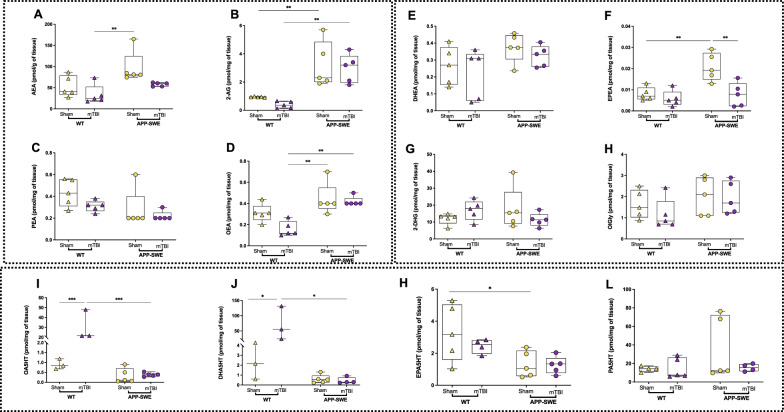 PMC11241935 – Fig6