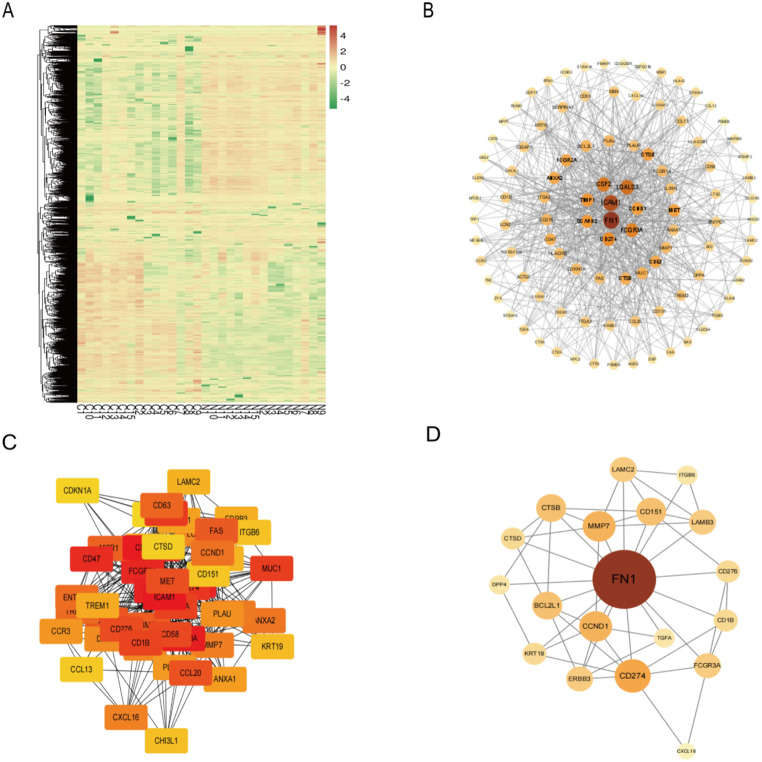 PMC11876195 – Fig10