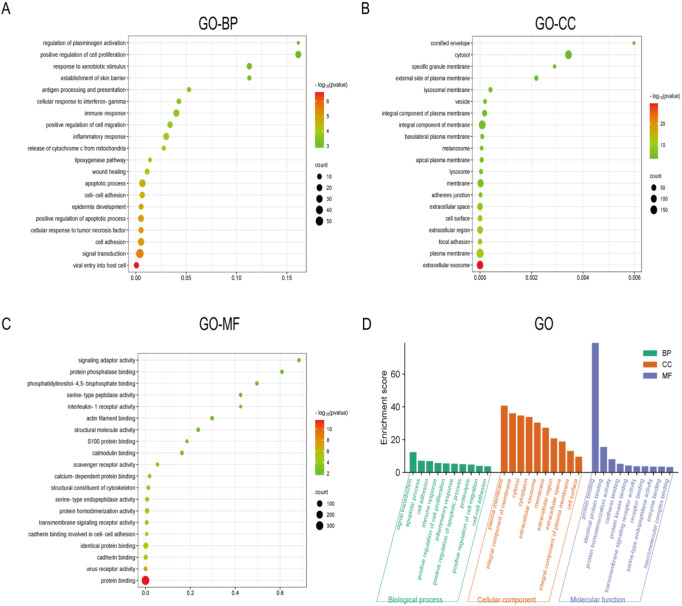 PMC11876195 – Fig11