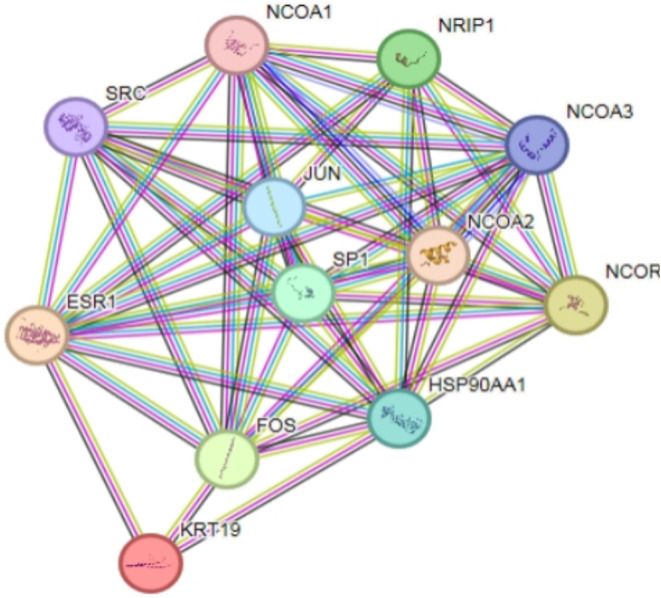 PMC11876195 – Fig12