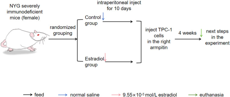 PMC11876195 – Fig1