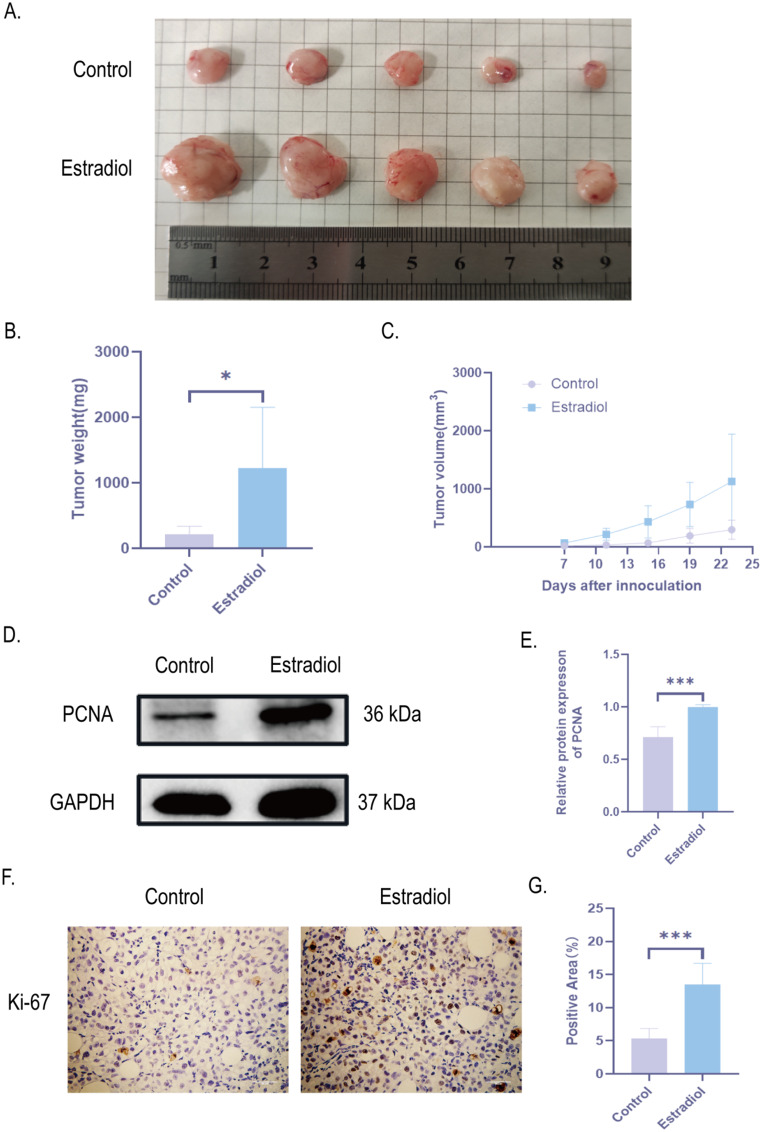 PMC11876195 – Fig4