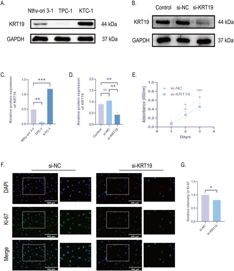 PMC11876195 – Fig6