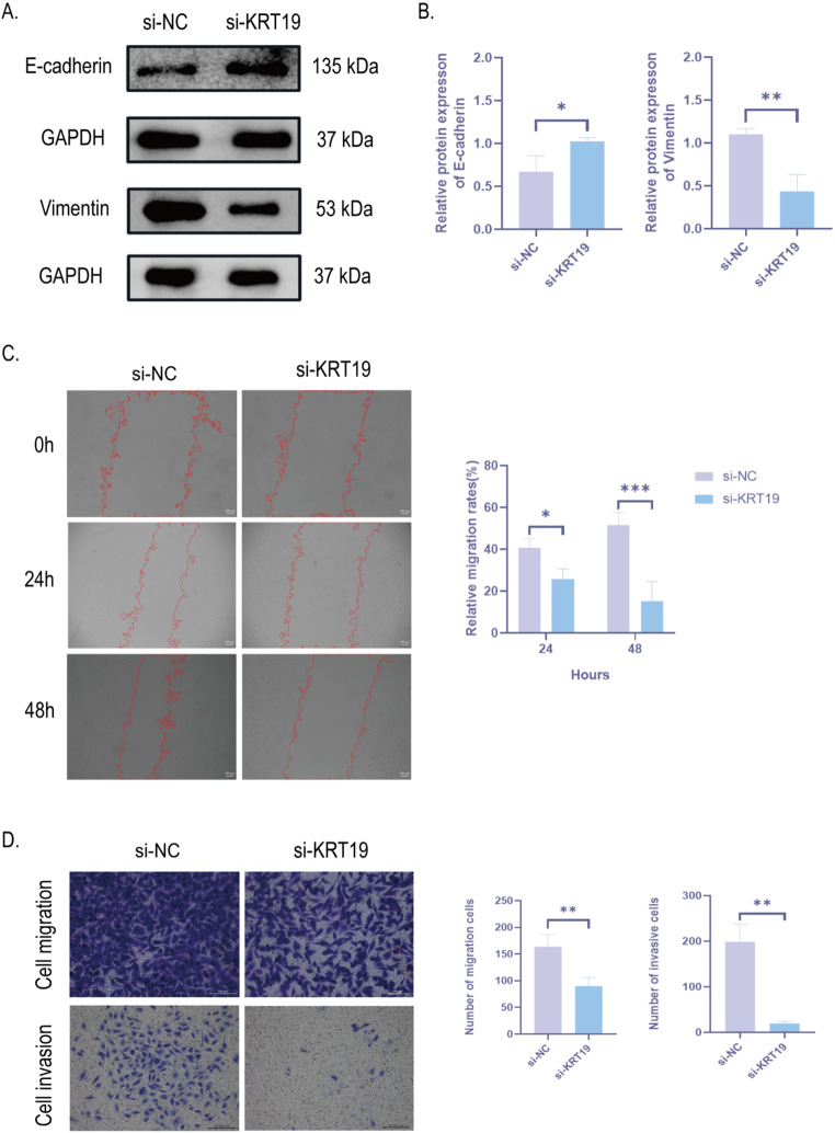PMC11876195 – Fig7