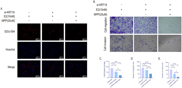 PMC11876195 – Fig9