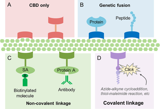 PMC11272768 – Fig2