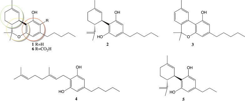 PMC11129430 – Fig1