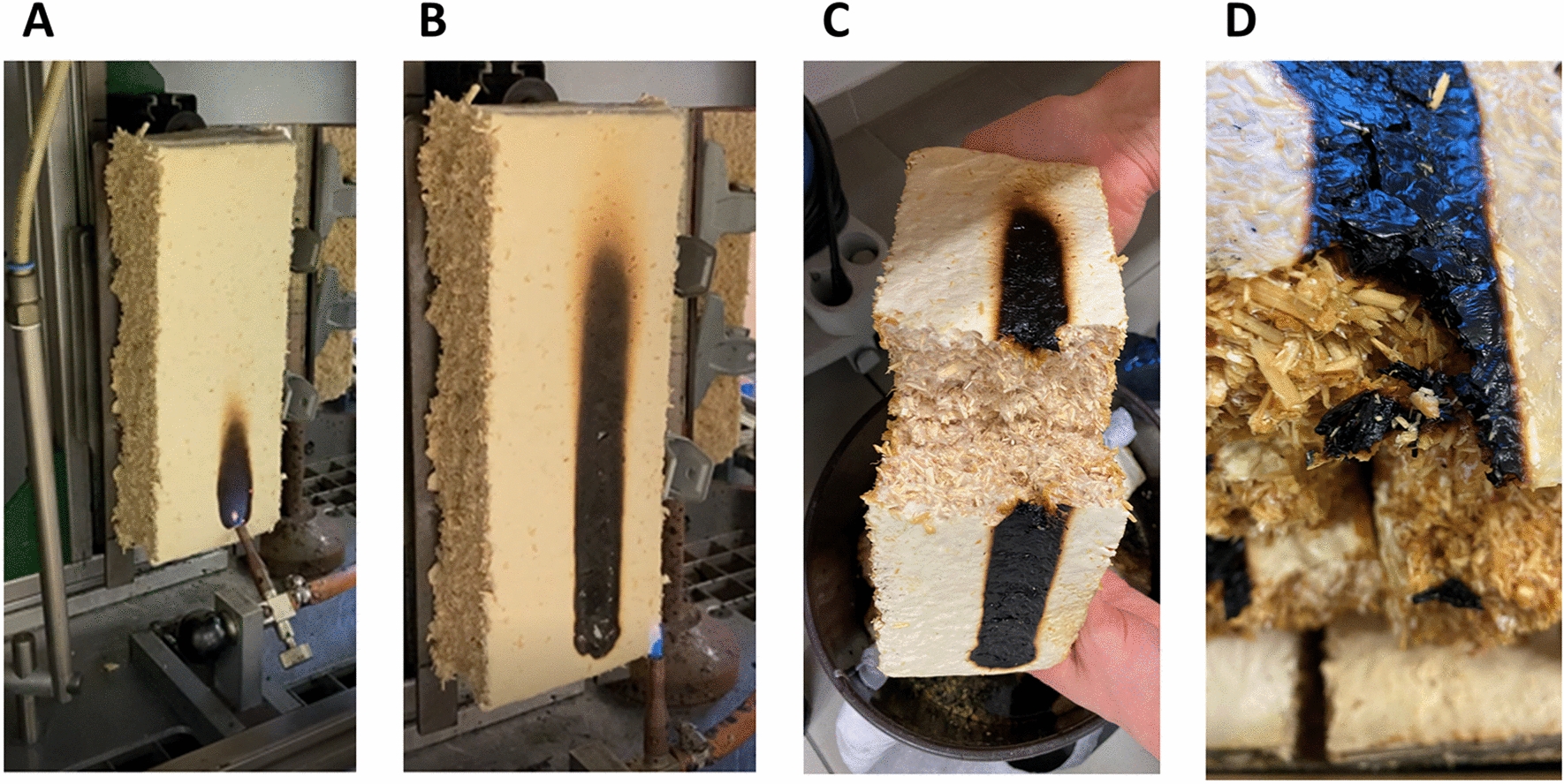 PMC10694974 – Fig2