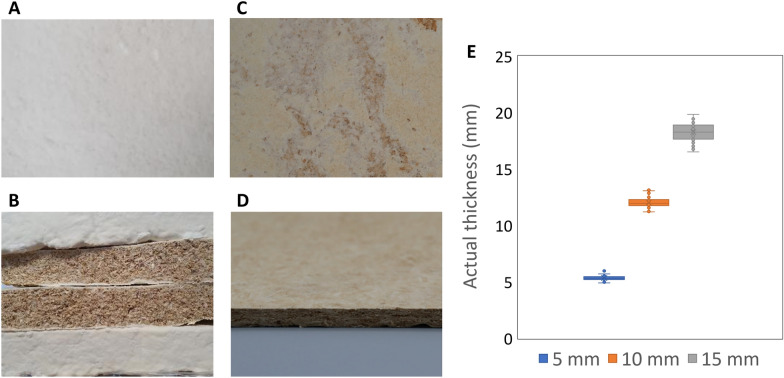 PMC10694974 – Fig3
