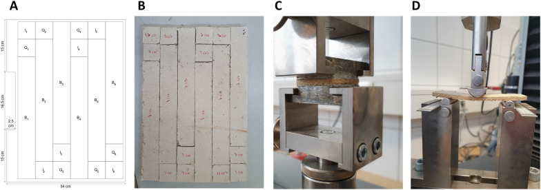 PMC10694974 – Fig4