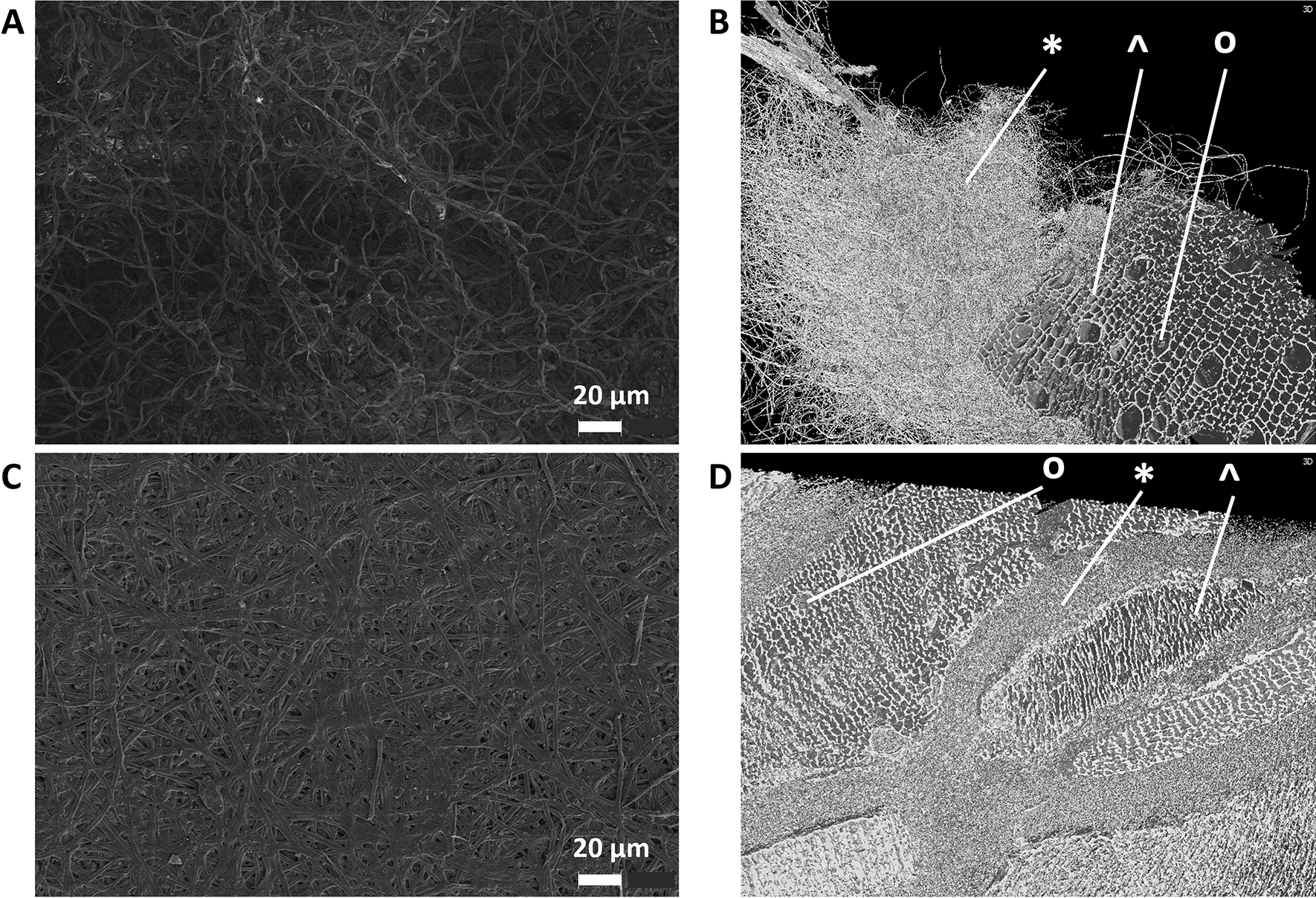 PMC10694974 – Fig7