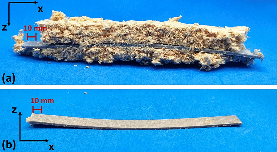 PMC12598823 – Fig10