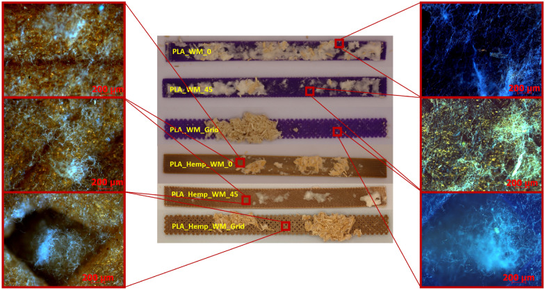 PMC12598823 – Fig19