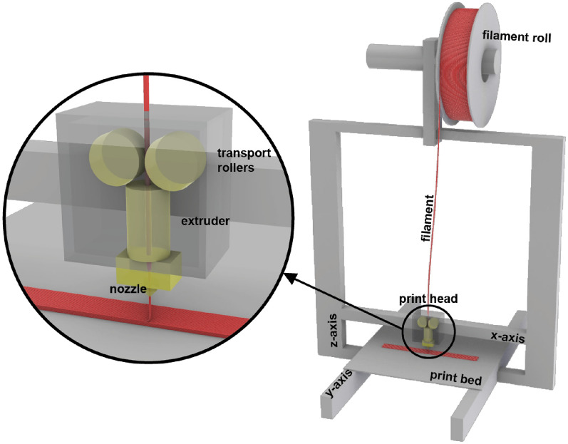 PMC12598823 – Fig1