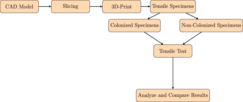 PMC12598823 – Fig3