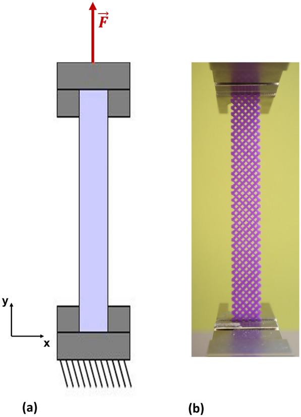 PMC12598823 – Fig6