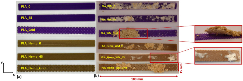 PMC12598823 – Fig8
