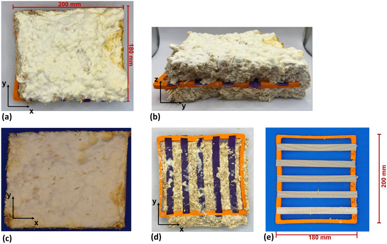 PMC12598823 – Fig9