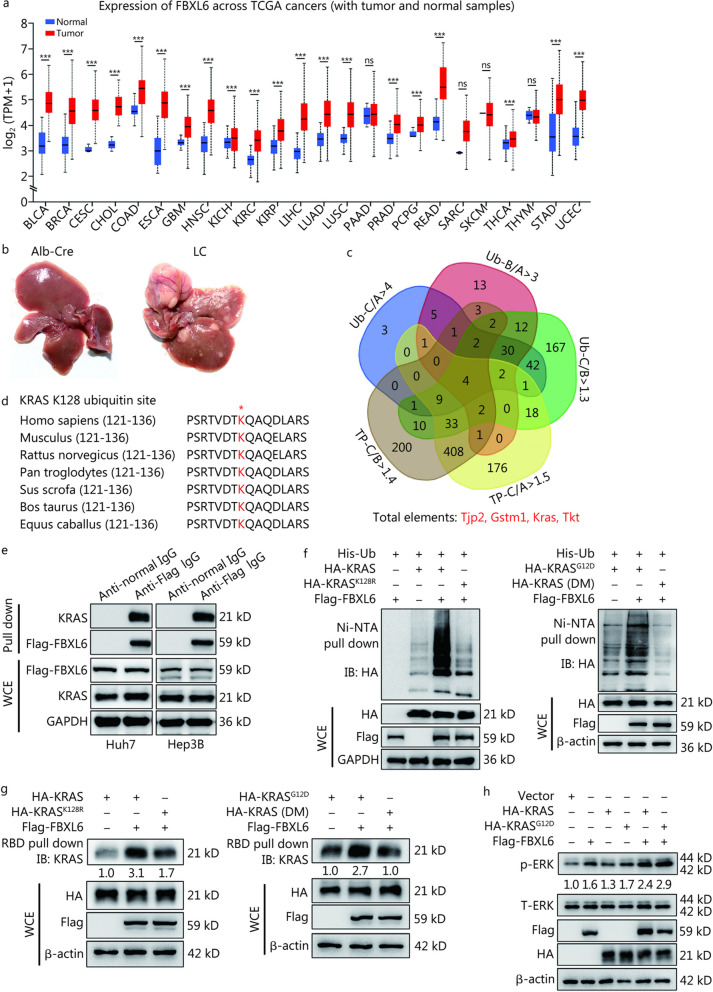 PMC10731709 – Fig1