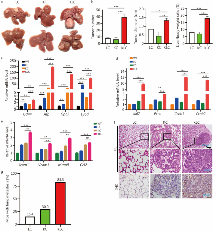 PMC10731709 – Fig2