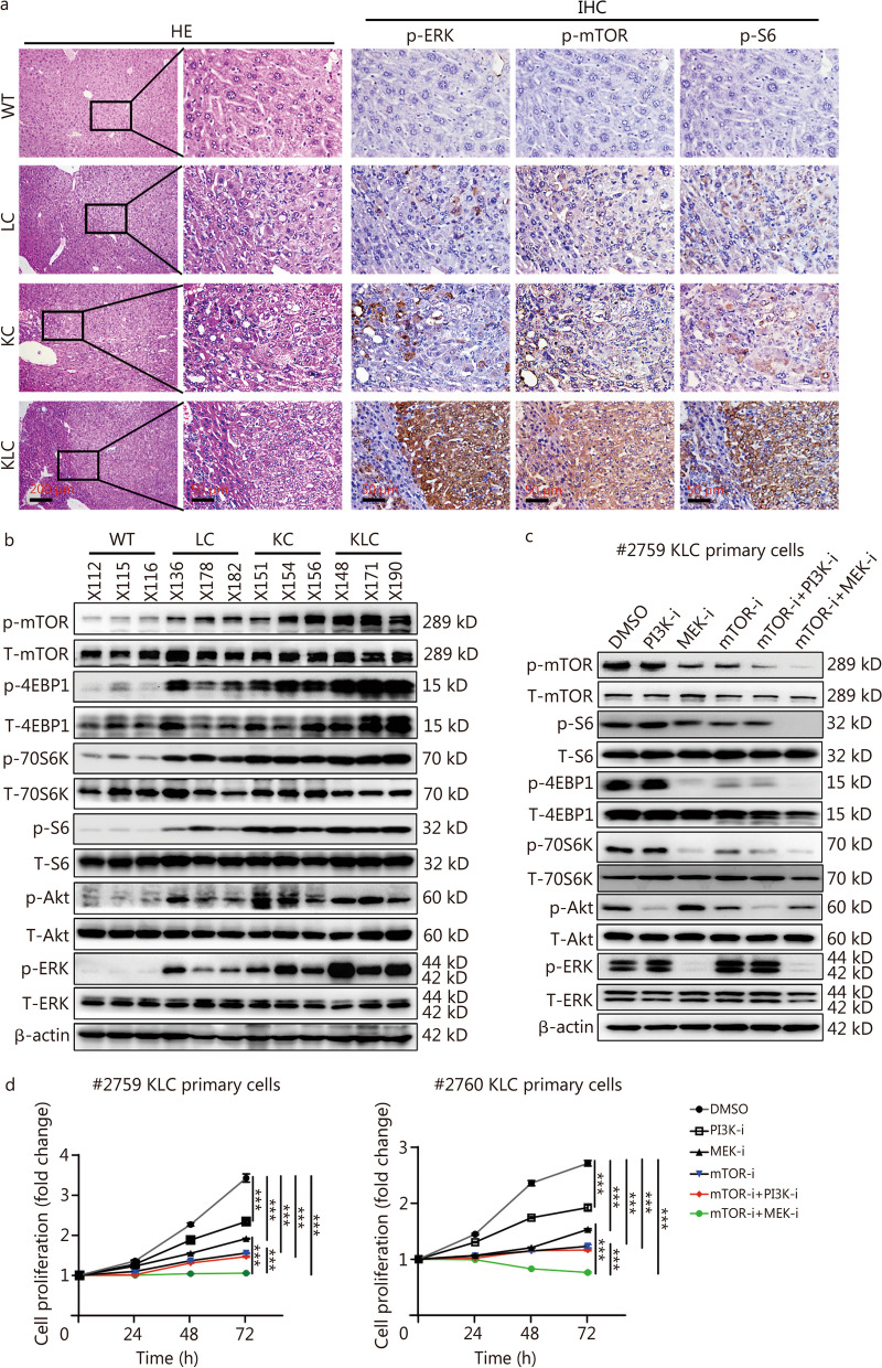 PMC10731709 – Fig3